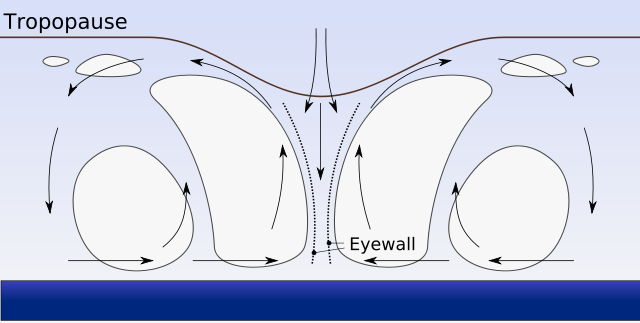 Image:Hurricane profile.svg