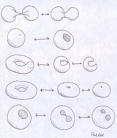 Image:Membraneinteractions.JPG