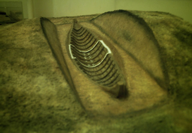 Image:Sutton Hoo ship-burial model.jpg