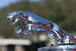 The distinctive Jaguar mascot