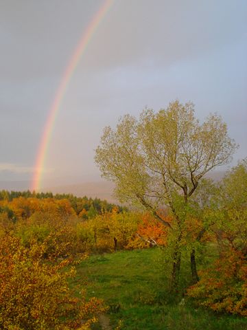 Image:Autumn-slovakia.JPG