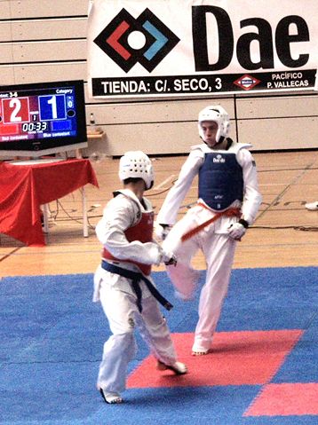 Image:Campeonato absoluto promocion taekwondo enh.JPG