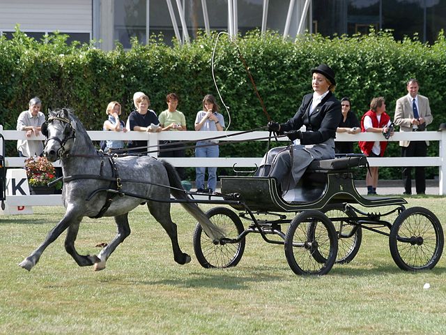 Image:Welsh-A-Buggy.jpg