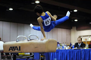 A boy on the pommel horse