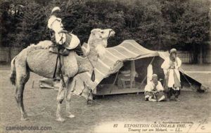 Tuareg in the 1907 Colonial Exhibition