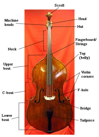 Image:Bassdiagram.jpg