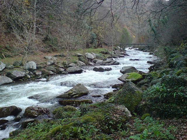 Image:LowerEastLynRiver.jpg