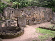 Site of the Great Mosque of Gedi which dates from the 13th century