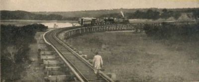 Kenya-Uganda railway near Mombasa, about 1899
