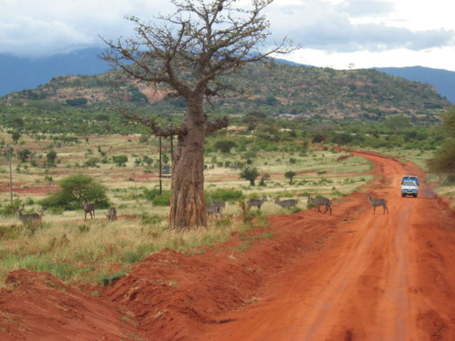 Image:African safari route.jpg