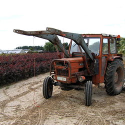 A older model European farm tractor. These types of tractors are still common in Eastern Europe