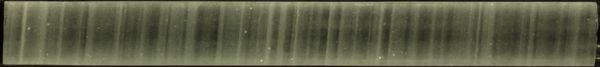 GISP2 ice core at 1837 meters depth with clearly visible annual layers.