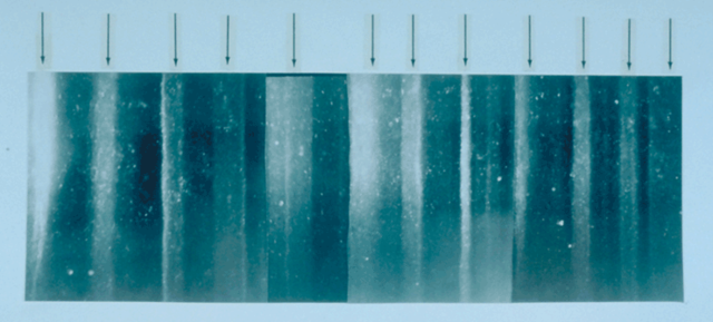 Image:GISP2 1855m ice core layers.png