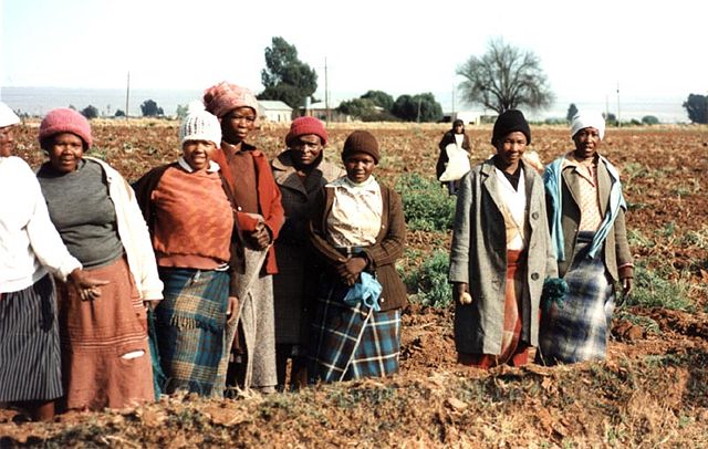 Image:SouthAfricaFieldwork21989.jpg