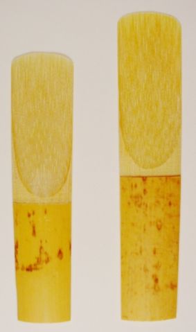 Image:Saxophone reeds-alto, tenor.jpeg