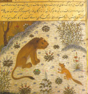 Kelileh va Demneh Persian manuscript copy dated 1429, from Herat, depicts the Jackal trying to lead the Lion astray.