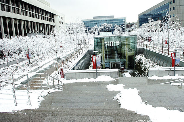 Image:Snowy hanasquare.jpg