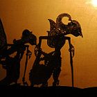 A Wayang kulit shadow puppet performance as seen by the audience