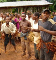 Baka dancers in the East Province of Cameroon