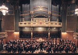 The Budapest Symphony Orchestra