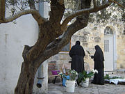 Orthodox nuns arranging flowers for a feast day.