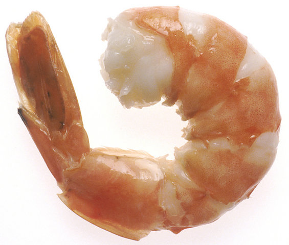 Image:NCI steamed shrimp.jpg