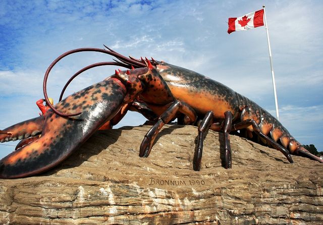 Image:Shediac Lobster.jpg