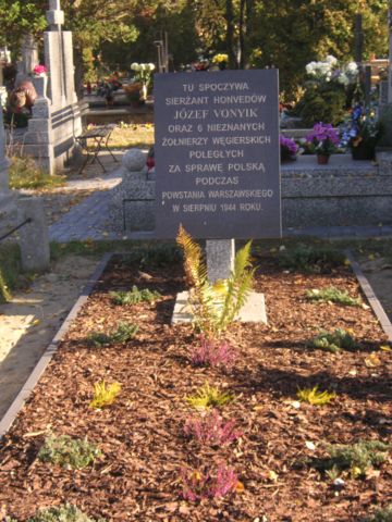 Image:Warsaw Uprising Hungarians.JPG