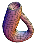 The Klein bottle immersed in three-dimensional space.