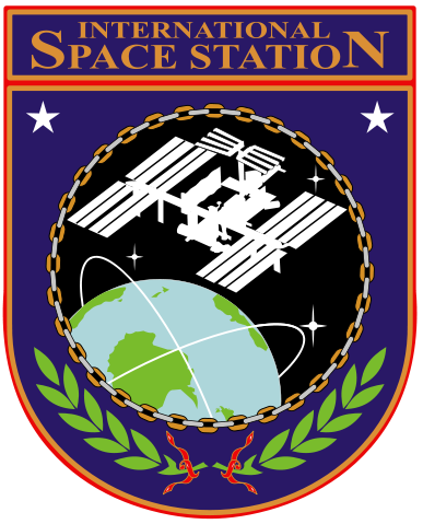 Image:ISS insignia.svg