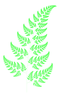 A fractal fern computed using an Iterated function system