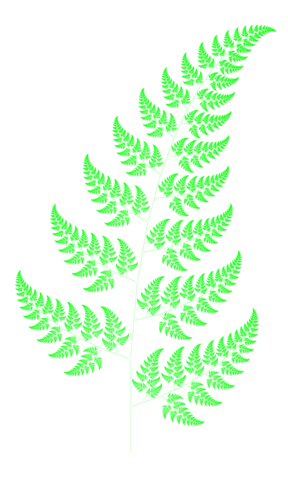 Image:Bransleys fern.png