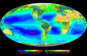 A false-color composite of global oceanic and terrestrial photoautotroph abundance, from September 1997 to August 2000.  Provided by the SeaWiFS Project, NASA/Goddard Space Flight Center and ORBIMAGE.