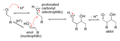 Mechanism for acid-catalyzed aldol reaction of an aldehyde with itself