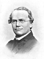 Gregor Mendel, who laid the foundation for genetics.