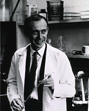 James D. Watson (pictured) and Francis Crick determined the structure of DNA in 1953.