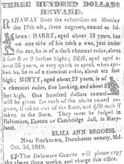 Notice published in the Cambridge Democrat, offering a three hundred dollar reward for Araminta (Minty) and her brothers Harry and Ben