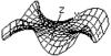 A TI-89 calculator can produce 3D wire frame graphs such as this graph of z(x,y) = x3y - y3x.