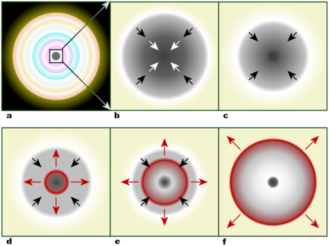 Within a massive, evolved star (a) the onion-layered shells of elements undergo fusion, forming an iron core (b) that reaches Chandrasekhar-mass and starts to collapse. The inner part of the core is compressed into neutrons (c), causing infalling material to bounce (d) and form an outward-propagating shock front (red). The shock starts to stall (e), but it is re-invigorated by neutrino interaction. The surrounding material is blasted away (f), leaving only a degenerate remnant.