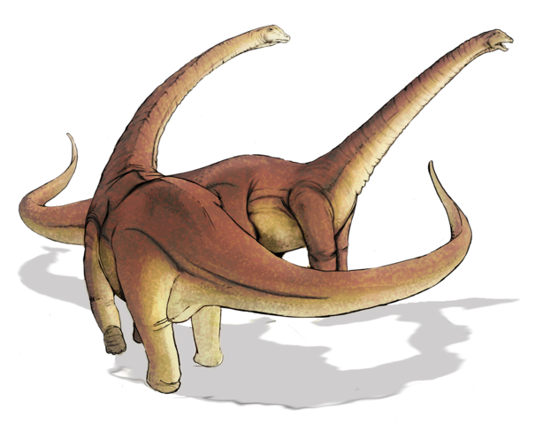 Image:Alamosaurus sanjuanensis dinosaur.png