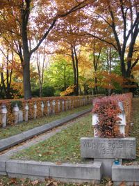 Graves of Polish soldiers at Powązki Cemetery, Warsaw.