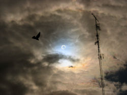 Photo taken in Valladolid, Spain, during the October 3, 2005, annular eclipse.