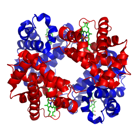 Image:1GZX Haemoglobin.png