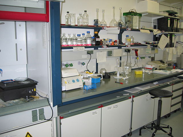 Image:Lab bench.jpg