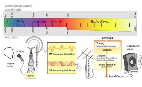Electromagnetic spectrum and diagram of radio transmission of an audio signal.  NB The colours used in this diagram of the electromagnetic spectrum are for decoration only.  They do not correspond to the wavelengths and frequencies indicated on the scale.
