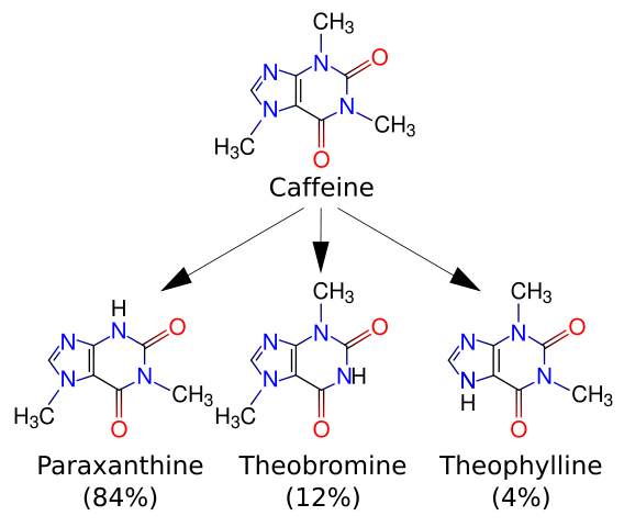 Image:Caffeine metabolites.svg