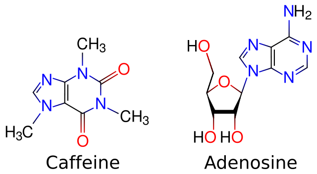 Image:Caffeine and adenosine.svg