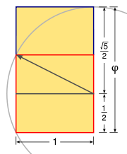 Construction of a golden rectangle: 1. Construct a unit square. 2. Draw a line from the midpoint of one side to an opposite corner. 3. Use that line as the radius to draw an arc that defines the long dimension of the rectangle.