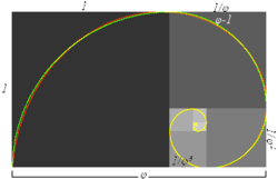 Approximate and true golden spirals. The green spiral is made from quarter-circles tangent to the interior of each square, while the red spiral is a Golden Spiral, a special type of logarithmic spiral. Overlapping portions appear yellow. The length of the side of a larger square to the next smaller square is in the golden ratio.