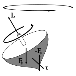 The torque caused by the two opposing forces Fg and -Fg causes a change in the angular momentum L in the direction of that torque (since torque is the time derivative of angular momentum). This causes the top to precess.